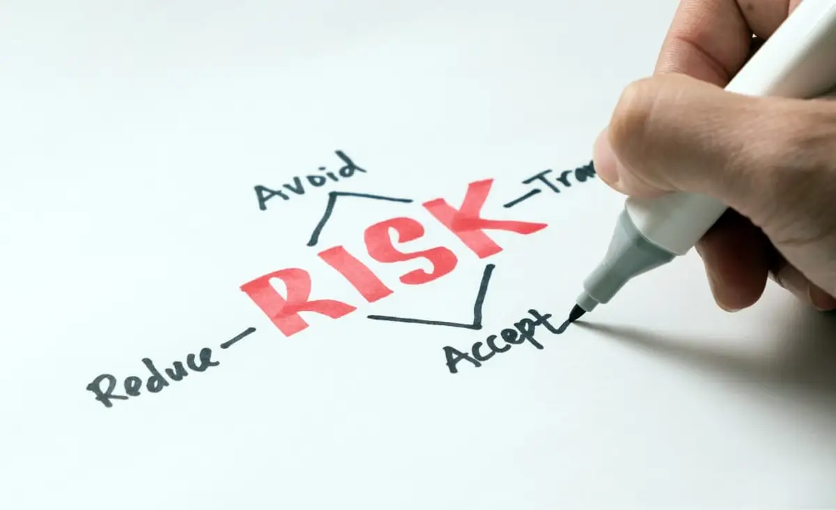 Risk management diagram with key strategies