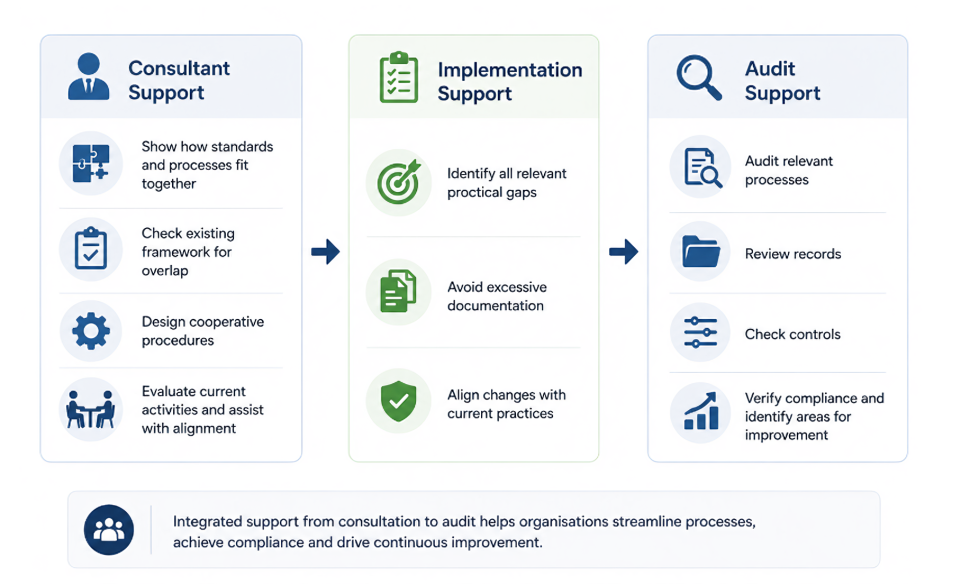 Integrated ISO consultant in Singapore reviewing management systems