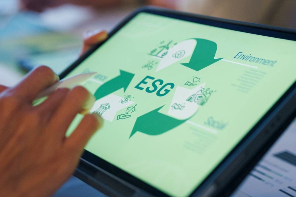 Sustainability reporting service for SME businesses